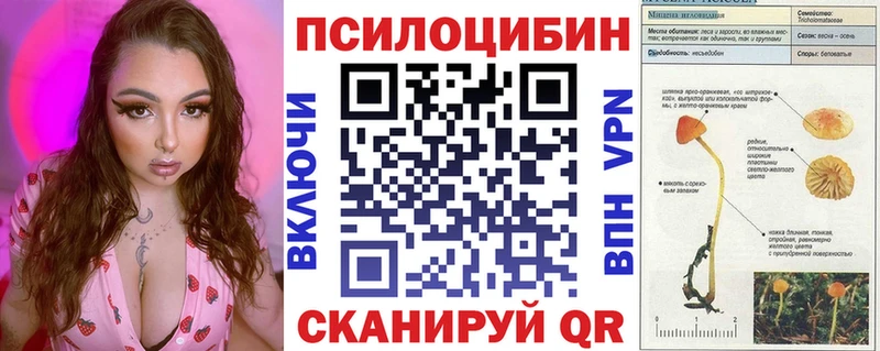Галлюциногенные грибы GOLDEN TEACHER  mega маркетплейс  Ленинск-Кузнецкий  где продают  